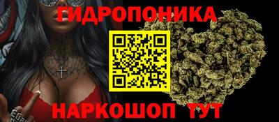 мяу мяу мука Гай