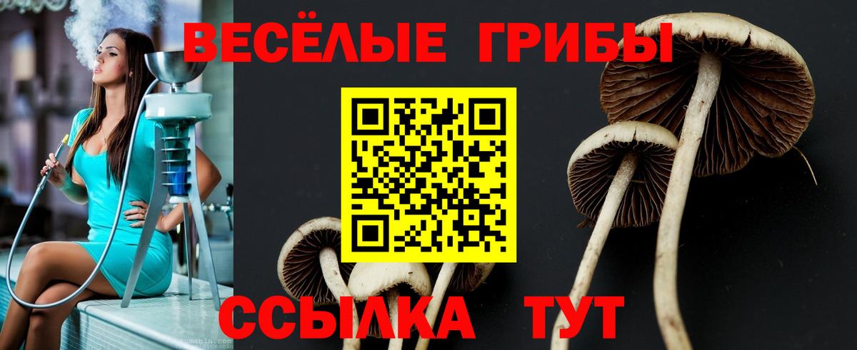 цена наркотик  Галлюциногенные грибы Psilocybine cubensis  Братск  Вход с VPN  Галлюциногенные грибы ЛСД 